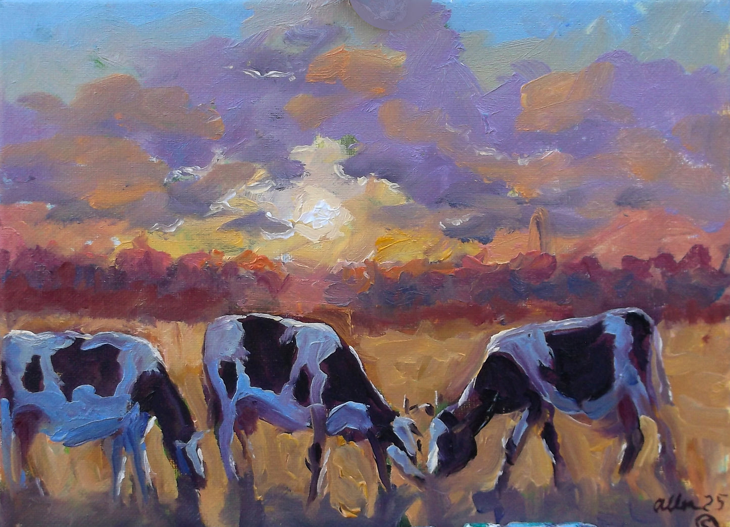 Twilight Pasture