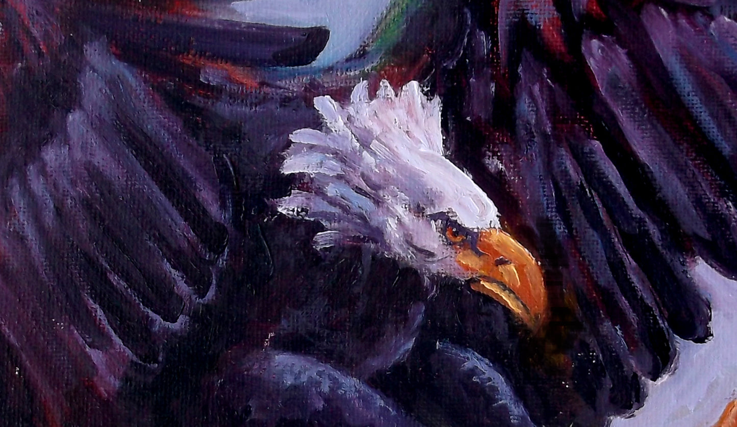 "Fierce Wing" oil on stretched canvas 8in. x 10in.